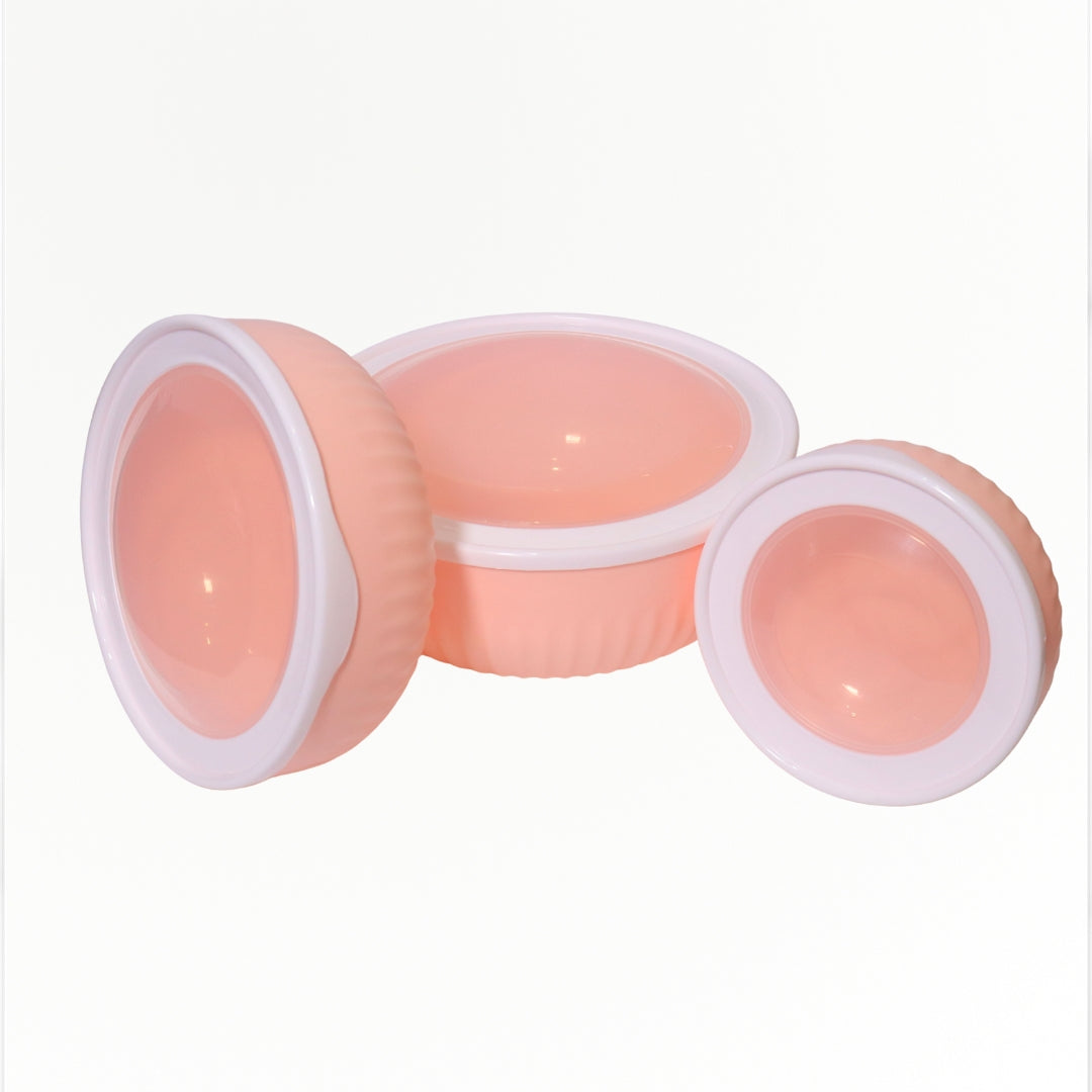 Spencer Airtight Containers With Lid