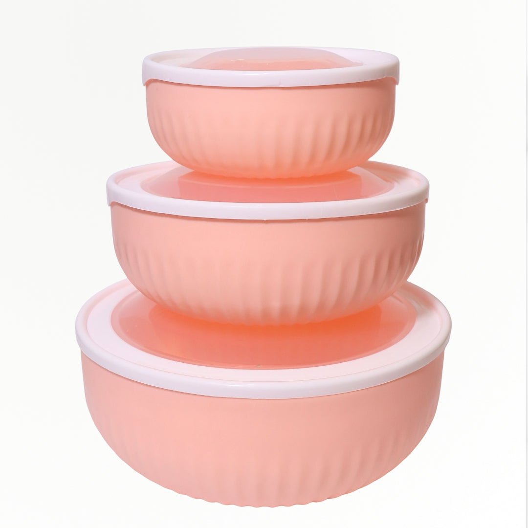 Spencer Airtight Containers With Lid
