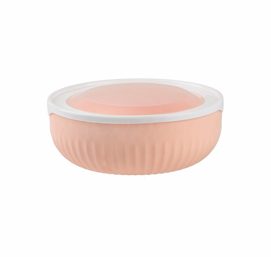 Spencer Airtight Containers With Lid