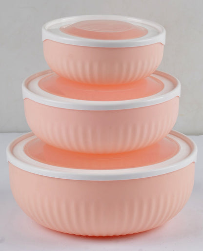 Spencer Airtight Containers With Lid